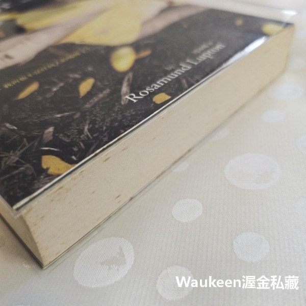 親愛的妹妹 Sister 羅莎蒙德勒普頓 Rosamund Lupton 天下文化 凶殺案 親情 偵探懸疑驚悚-細節圖11