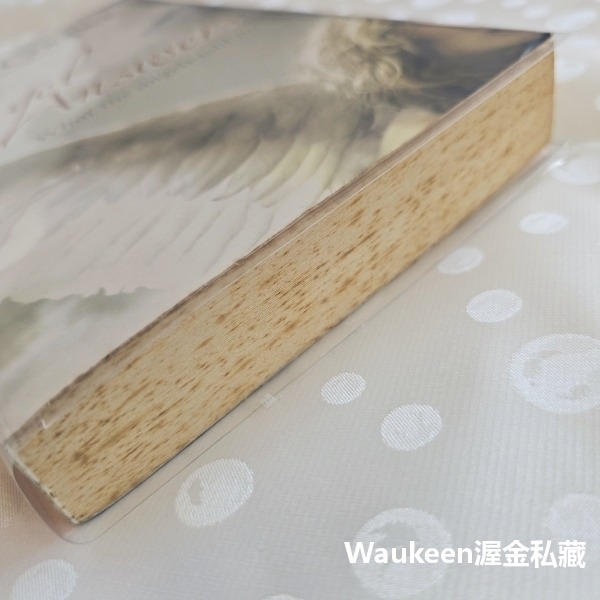 天使有求必應 Angel Answers 黛安娜庫柏 Diana Cooper 天主教宗教信仰-細節圖11