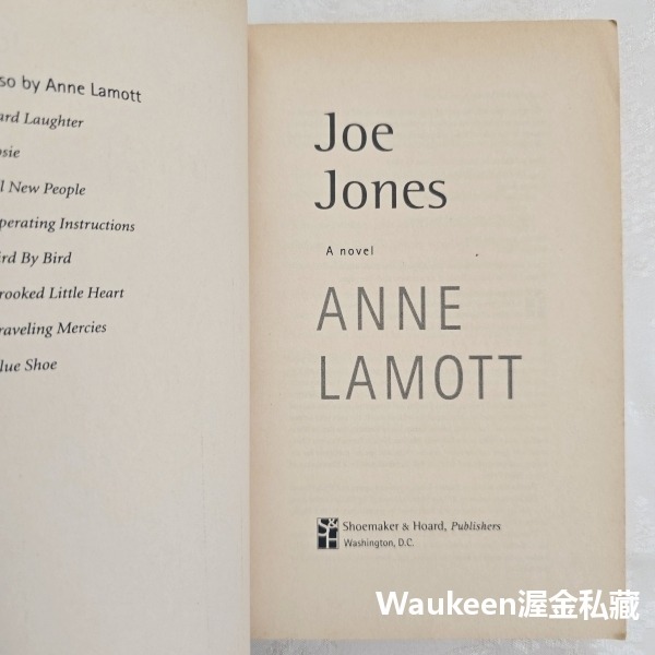喬瓊斯 Joe Jones 安拉莫特 Anne Lamott 寫作課一隻鳥接著一隻鳥寫就對了作者 當代小說-細節圖4