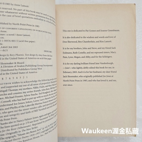 喬瓊斯 Joe Jones 安拉莫特 Anne Lamott 寫作課一隻鳥接著一隻鳥寫就對了作者 當代小說-細節圖5