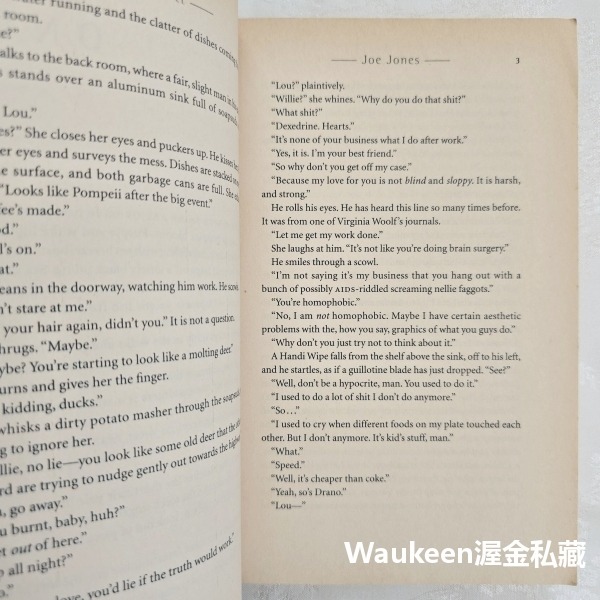 喬瓊斯 Joe Jones 安拉莫特 Anne Lamott 寫作課一隻鳥接著一隻鳥寫就對了作者 當代小說-細節圖7