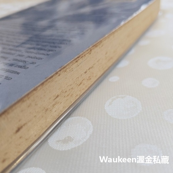 喬瓊斯 Joe Jones 安拉莫特 Anne Lamott 寫作課一隻鳥接著一隻鳥寫就對了作者 當代小說-細節圖10