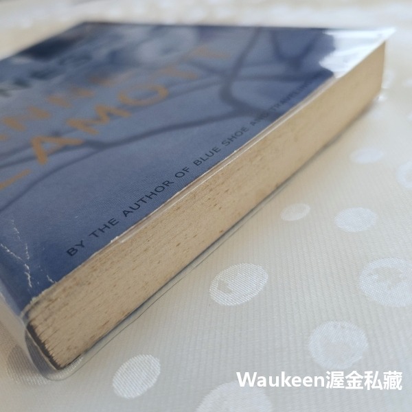 喬瓊斯 Joe Jones 安拉莫特 Anne Lamott 寫作課一隻鳥接著一隻鳥寫就對了作者 當代小說-細節圖11