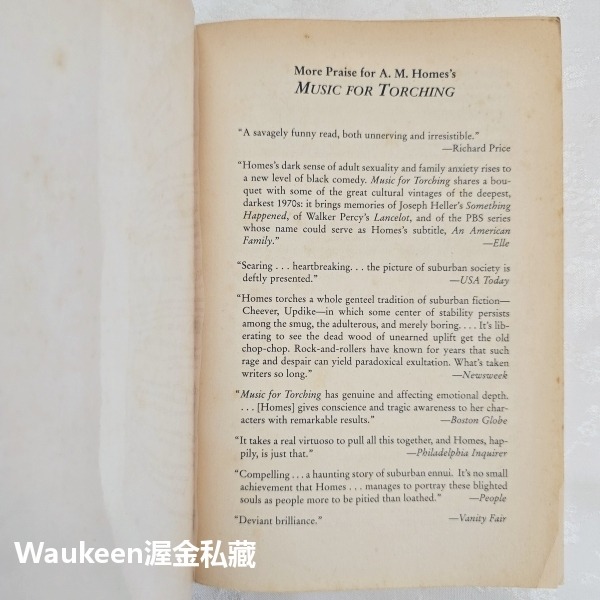 悲傷情歌 Music for Torching 艾美荷姆絲 Amy M. Homes 這本書可以救你的命作者 幽默諷刺小-細節圖2