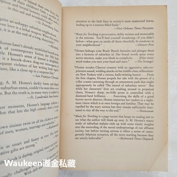 悲傷情歌 Music for Torching 艾美荷姆絲 Amy M. Homes 這本書可以救你的命作者 幽默諷刺小-細節圖3