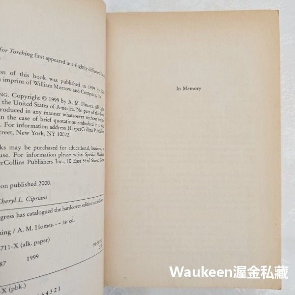 悲傷情歌 Music for Torching 艾美荷姆絲 Amy M. Homes 這本書可以救你的命作者 幽默諷刺小-細節圖4
