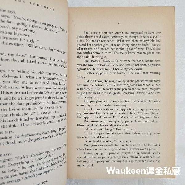 悲傷情歌 Music for Torching 艾美荷姆絲 Amy M. Homes 這本書可以救你的命作者 幽默諷刺小-細節圖6