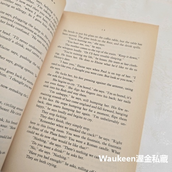 悲傷情歌 Music for Torching 艾美荷姆絲 Amy M. Homes 這本書可以救你的命作者 幽默諷刺小-細節圖8