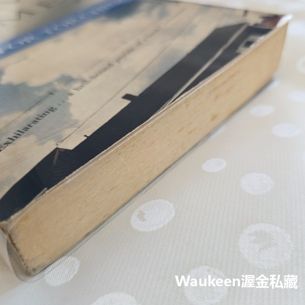 悲傷情歌 Music for Torching 艾美荷姆絲 Amy M. Homes 這本書可以救你的命作者 幽默諷刺小-細節圖11