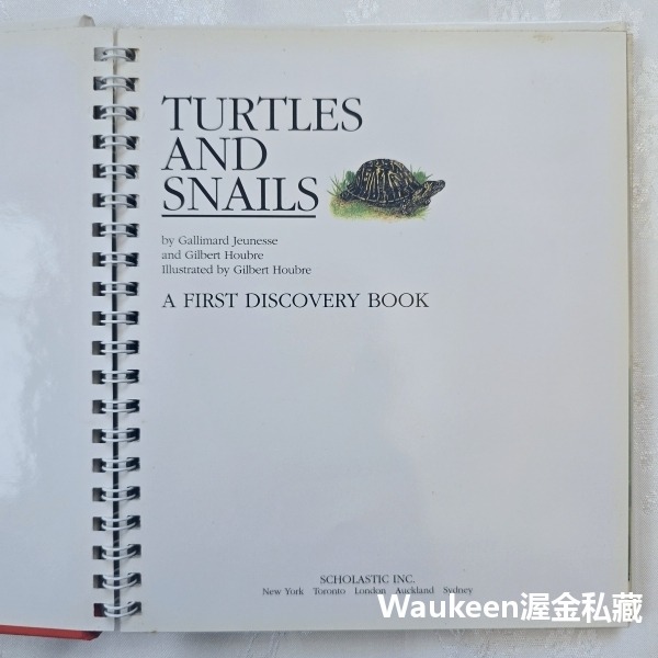 烏龜與蝸牛 Turtles and Snails 伽里瑪出版社 Jeunesse Gallimard 自然 生物 兒童讀-細節圖2
