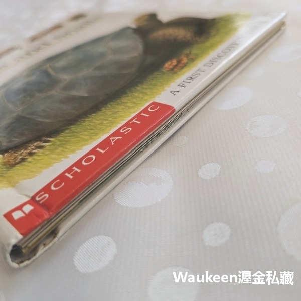 烏龜與蝸牛 Turtles and Snails 伽里瑪出版社 Jeunesse Gallimard 自然 生物 兒童讀-細節圖9