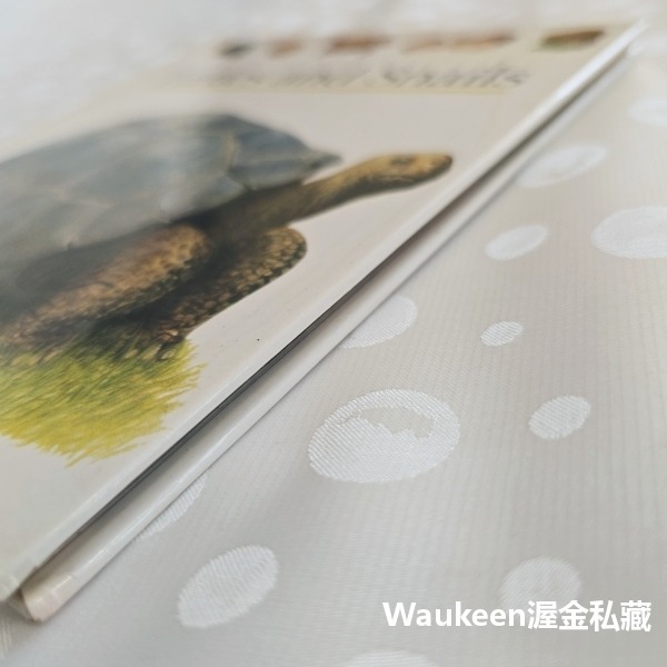 烏龜與蝸牛 Turtles and Snails 伽里瑪出版社 Jeunesse Gallimard 自然 生物 兒童讀-細節圖10