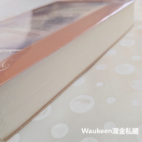 縫補靈魂的天使 Redeeming Love 法蘭辛瑞維斯 Francine Rivers 春天出版社 基督教 羅曼史-細節圖4