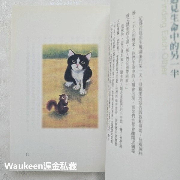 貓咪不要哭 A Cat＇s Life 蒂瑞迪 Dee Ready 大田出版社 溫馨療癒 歐美翻譯文學-細節圖8