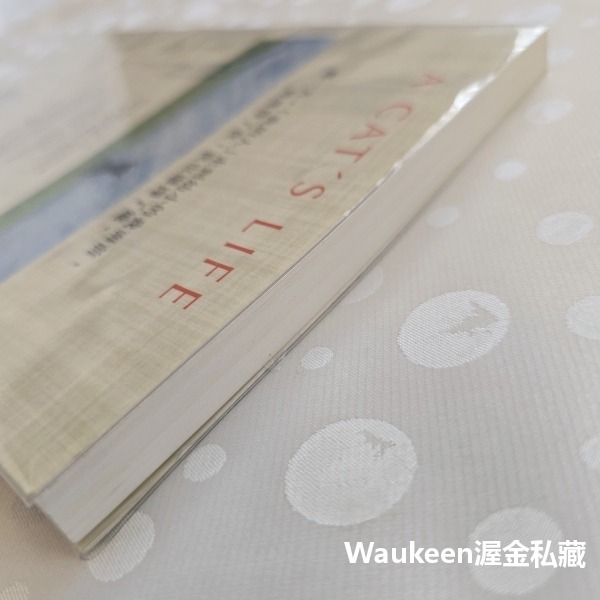 貓咪不要哭 A Cat＇s Life 蒂瑞迪 Dee Ready 大田出版社 溫馨療癒 歐美翻譯文學-細節圖9