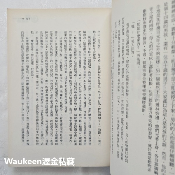 獵殺第四行者 I am Number Four 彼達咯斯洛里 Pittacus Lore 印刻 INK 電影原著 艾力克-細節圖7