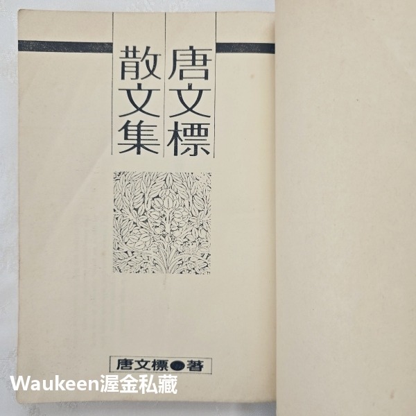 唐文標散文集 大俠 僵化的現代詩作者 春光乍現 Blow-Up 時報出版公司 法國電影 香港 另文化 Sub-Cultu-細節圖2