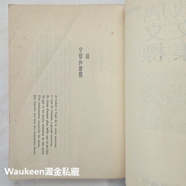 唐文標散文集 大俠 僵化的現代詩作者 春光乍現 Blow-Up 時報出版公司 法國電影 香港 另文化 Sub-Cultu-細節圖3
