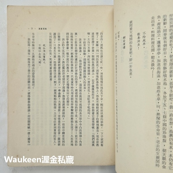 唐文標散文集 大俠 僵化的現代詩作者 春光乍現 Blow-Up 時報出版公司 法國電影 香港 另文化 Sub-Cultu-細節圖4