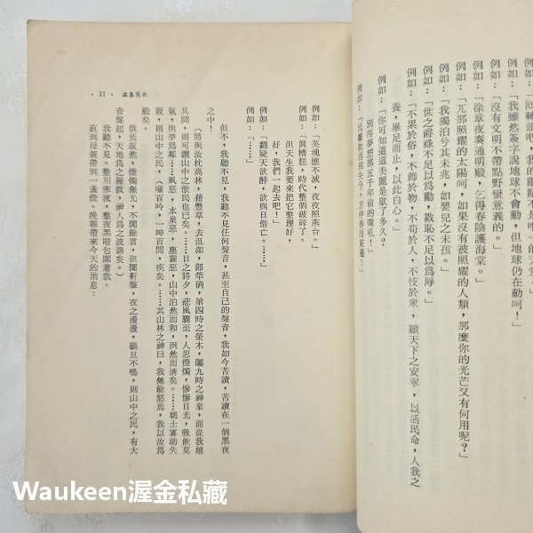 唐文標散文集 大俠 僵化的現代詩作者 春光乍現 Blow-Up 時報出版公司 法國電影 香港 另文化 Sub-Cultu-細節圖7