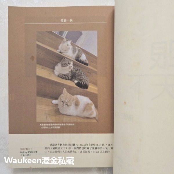 貓眼看天下 A Cat Abroad 彼得蓋澤斯 Peter Gethers 商周出版 法國 普羅旺斯 義大利 生活風格-細節圖3