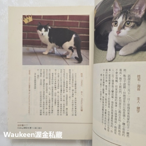 貓眼看天下 A Cat Abroad 彼得蓋澤斯 Peter Gethers 商周出版 法國 普羅旺斯 義大利 生活風格-細節圖4