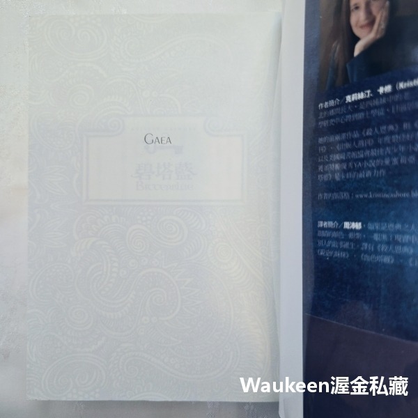 碧塔藍 BITTERBLUE 克莉絲汀卡修 Kristin Cashore 殺人恩典作者 蓋亞文化 奇幻小說-細節圖2