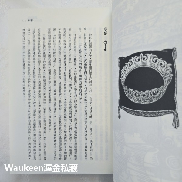 碧塔藍 BITTERBLUE 克莉絲汀卡修 Kristin Cashore 殺人恩典作者 蓋亞文化 奇幻小說-細節圖6