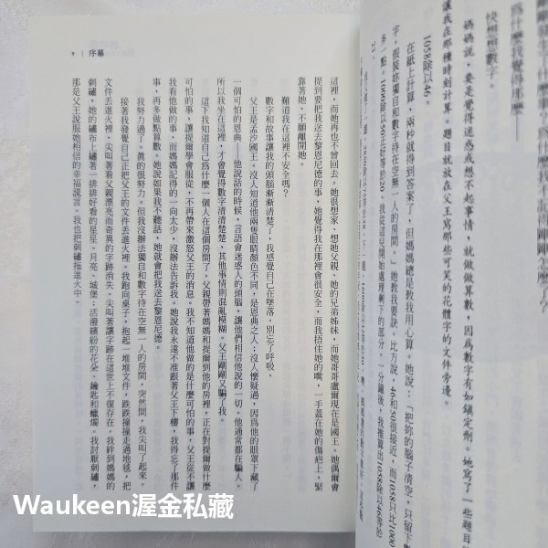 碧塔藍 BITTERBLUE 克莉絲汀卡修 Kristin Cashore 殺人恩典作者 蓋亞文化 奇幻小說-細節圖7
