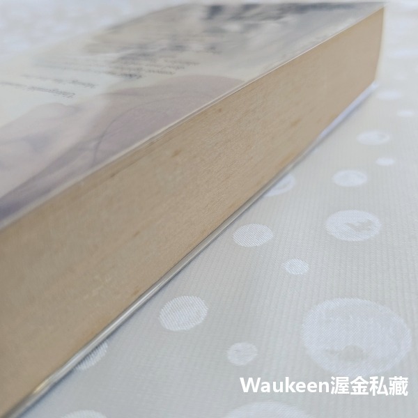 為妳說的謊電影封面版 The Light Between Oceans Movie Tie-In edition 史黛曼-細節圖10