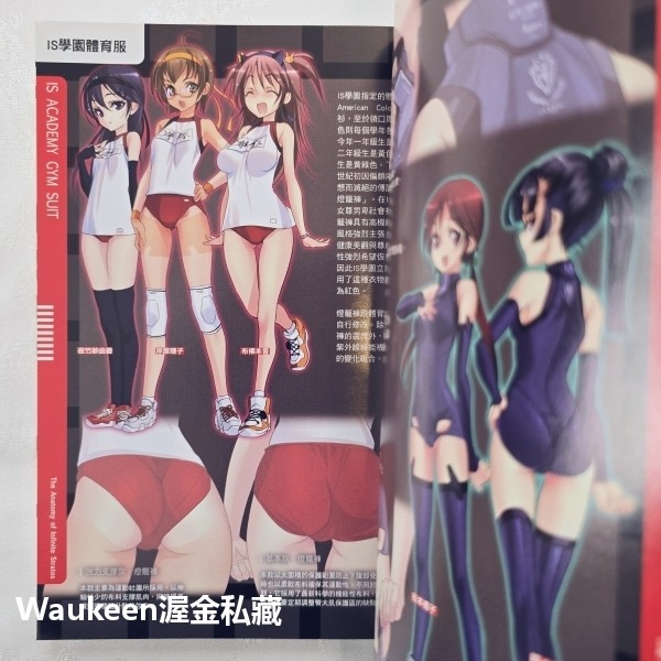 IS Infinite Stratos 9 無限斯特拉托斯 弓弦イズル CHOCO 尖端出版社 卡通動畫原著小說 科幻冒-細節圖6