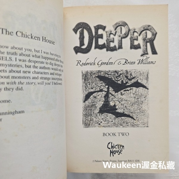 無底洞 Deeper 羅德里克戈登 Roderick Gordon 布萊恩威廉斯 Brian Williams 隧道作者-細節圖3