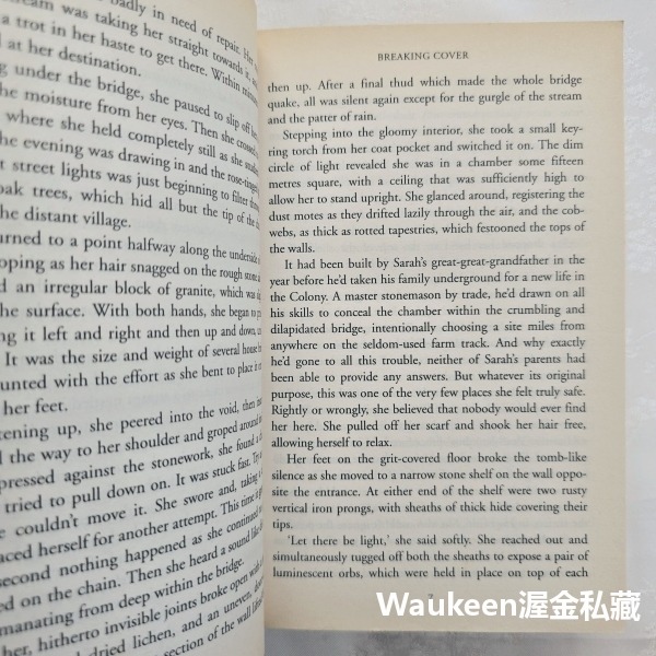 無底洞 Deeper 羅德里克戈登 Roderick Gordon 布萊恩威廉斯 Brian Williams 隧道作者-細節圖7