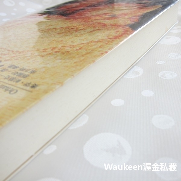 新人生 The New Life 奧罕帕慕克 Orhan Pamuk 魔幻寫實 土耳其伊斯坦堡 我的名字叫紅作者 麥田出-細節圖10
