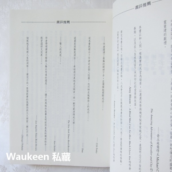 蘇西的世界電影書衣版 The Lovely Bones 艾莉絲希柏德 Alice Sebold 瑟夏羅南電影原著小說 時-細節圖4