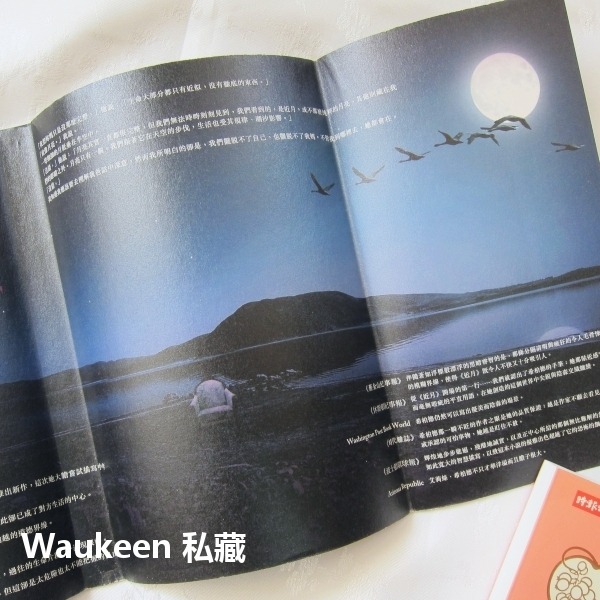 蘇西的世界電影書衣版 The Lovely Bones 艾莉絲希柏德 Alice Sebold 瑟夏羅南電影原著小說 時-細節圖8