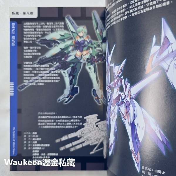 IS Infinite Stratos 8 限定版附角色收藏卡 無限斯特拉托斯 弓弦イズル CHOCO 尖端出版社 卡通-細節圖6