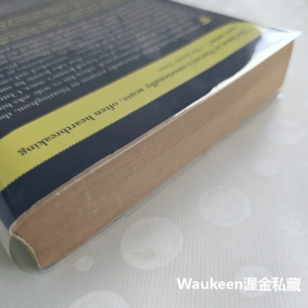 黑闇與光明 DARKNESS LIGHT 約翰哈威 John Harvey 寂寞芳心作者 鑽石匕首獎 Frank Eld-細節圖11