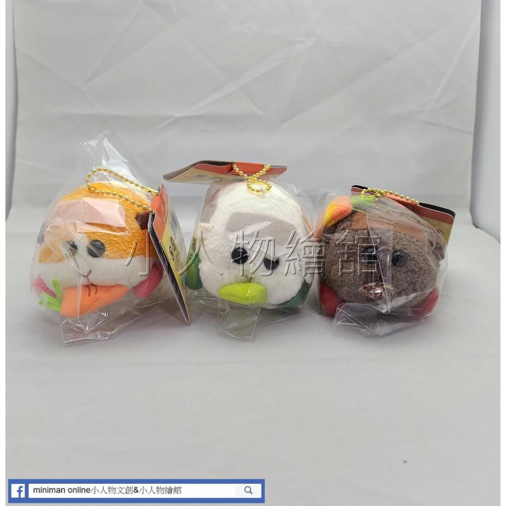 【小人物繪舘】*現貨*正日版eikoh PUI PUI 天竺鼠車車布偶 絨毛娃娃 震動玩偶 吊飾VOL1-細節圖2