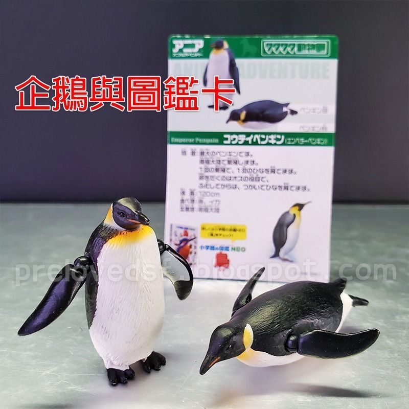 多美動物 可愛動物園 場景組 2013 TAKARA TOMY ANIA〈清空間放山雞〉-細節圖5