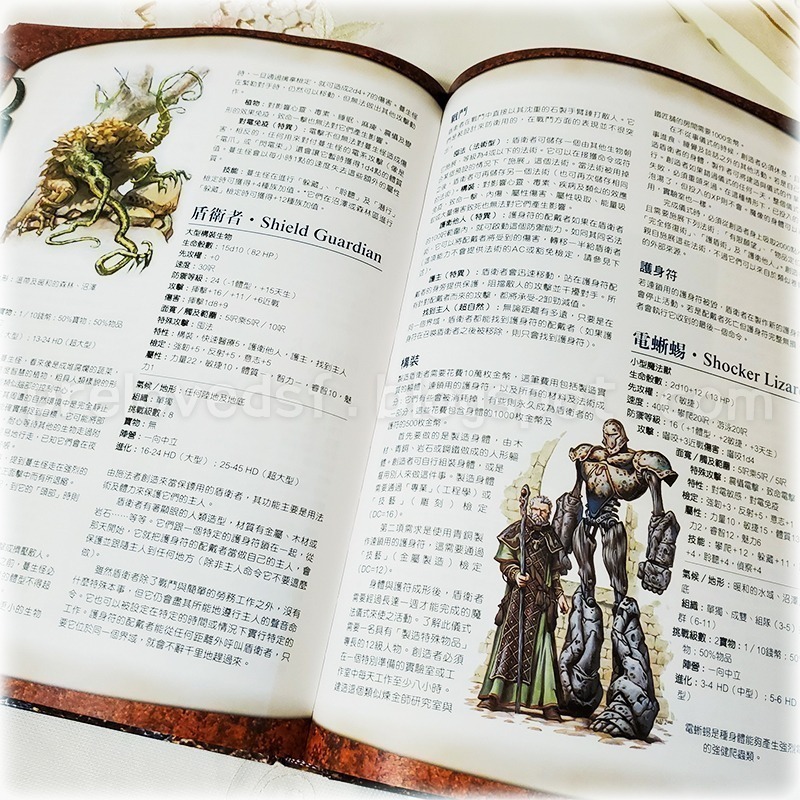 龍與地下城 怪物圖鑑 D&D 2002初版一刷 繁體中文 絕版〈清空間放山雞〉-細節圖4