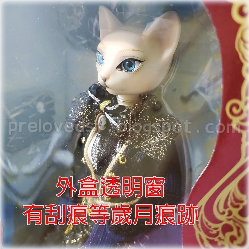 Sasha Lumina Fashion Doll Cat Type Groove 2013 絕版〈清空間放山雞〉-細節圖7