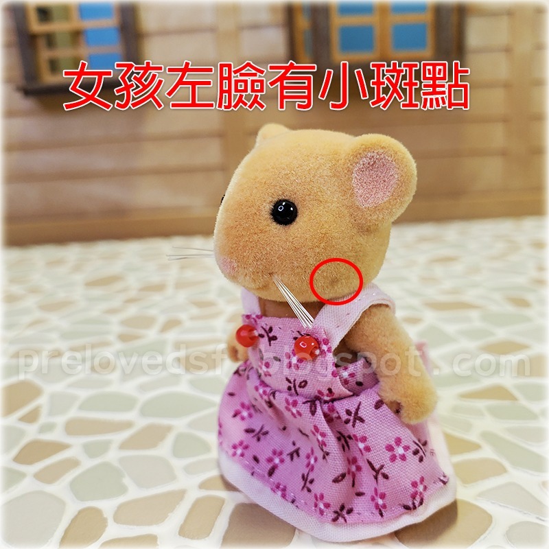 Sylvanian Families 森林家族 睡鼠家族 英版 絕版〈清空間放山雞〉-細節圖7