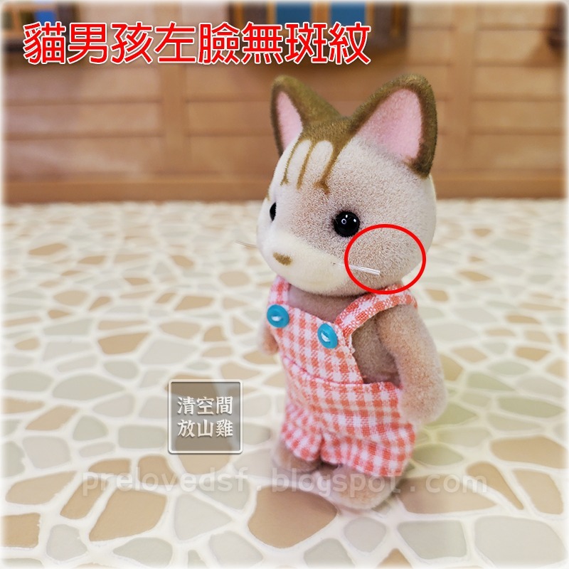 Sylvanian Families 森林家族 斑紋貓男孩女孩 舊版日版〈清空間放山雞〉-細節圖4