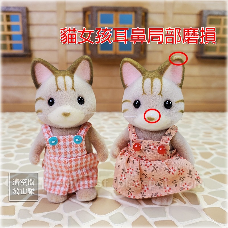 Sylvanian Families 森林家族 斑紋貓男孩女孩 舊版日版〈清空間放山雞〉-細節圖5