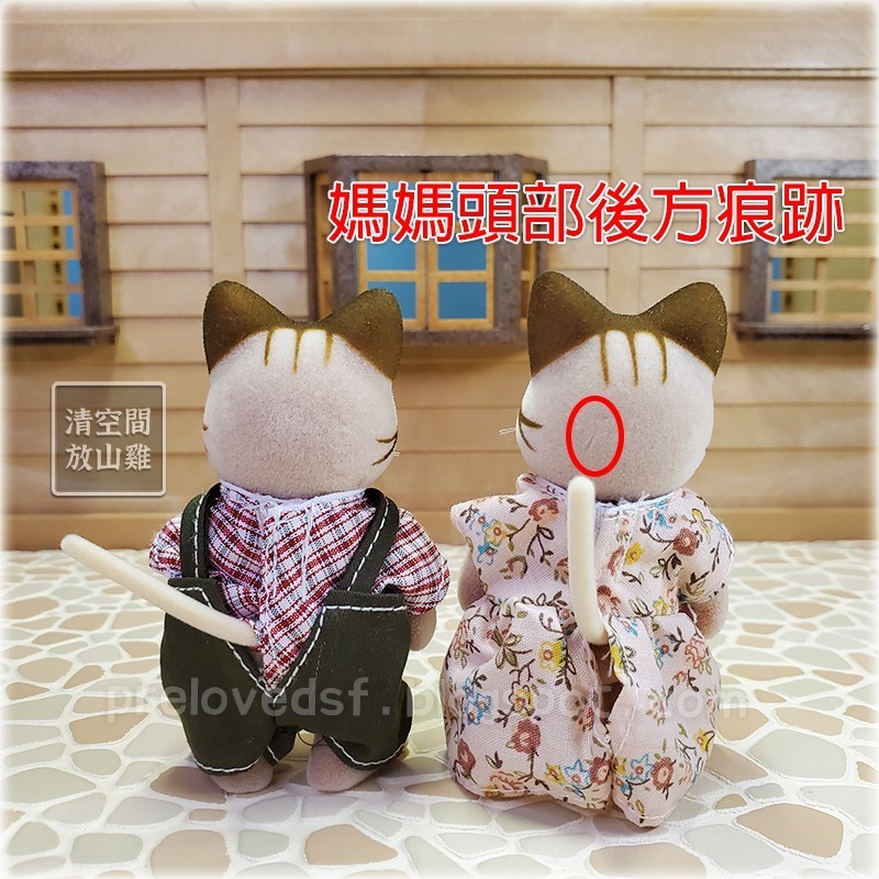 Sylvanian Families 森林家族 斑紋貓家族 舊版 英版服裝 紀念組合〈清空間放山雞〉-細節圖7