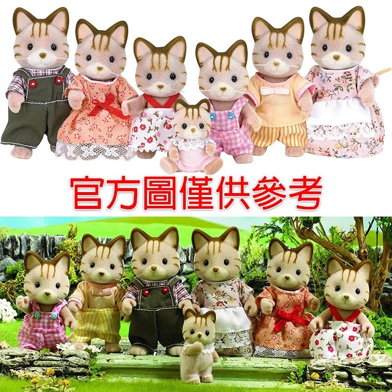 Sylvanian Families 森林家族 斑紋貓家族 舊版 英版服裝 紀念組合〈清空間放山雞〉-細節圖8