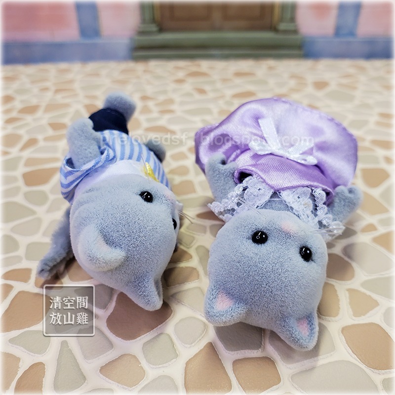 Sylvanian Families 森林家族 灰色泡芙貓 貓男孩女孩 英版 絕版〈清空間放山雞〉-細節圖5