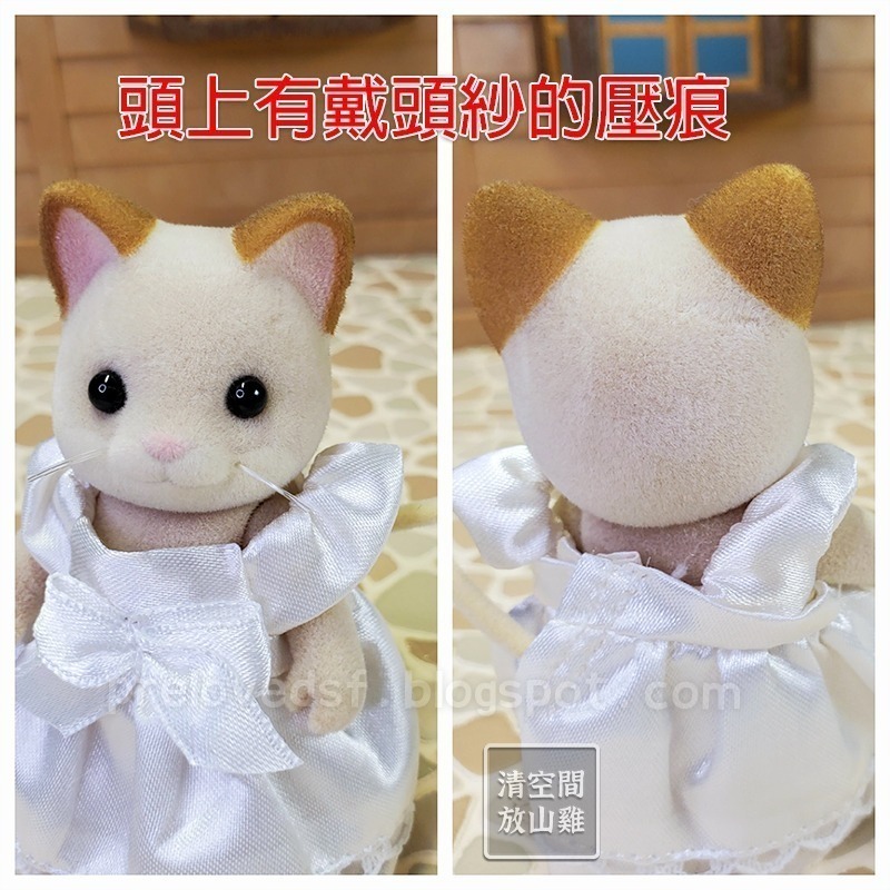 Sylvanian Families 森林家族 婚禮奶油貓新郎新娘 日版奶油貓女孩 絕版〈清空間放山雞〉-細節圖7