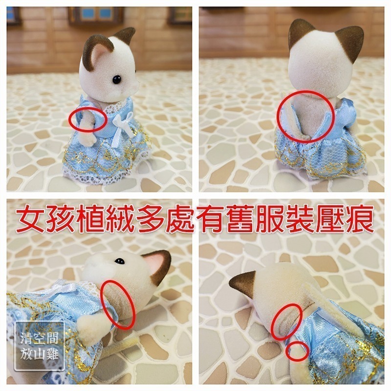 Sylvanian Families 森林家族 婚禮奶油貓新郎新娘 日版奶油貓女孩 絕版〈清空間放山雞〉-細節圖8